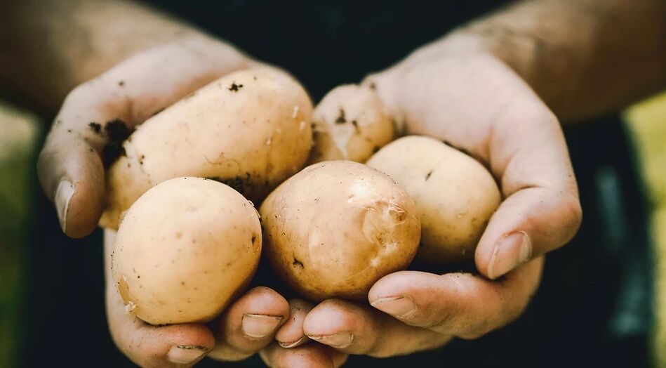 Cartofii au un efect pozitiv asupra sănătății bărbaților